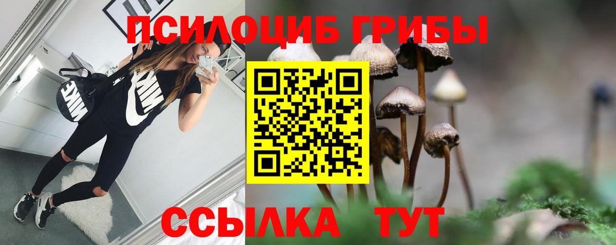 Псилоцибиновые грибы Psilocybine cubensis  Псилоцибиновые грибы прущие грибы  Георгиевск  Вход с VPN 